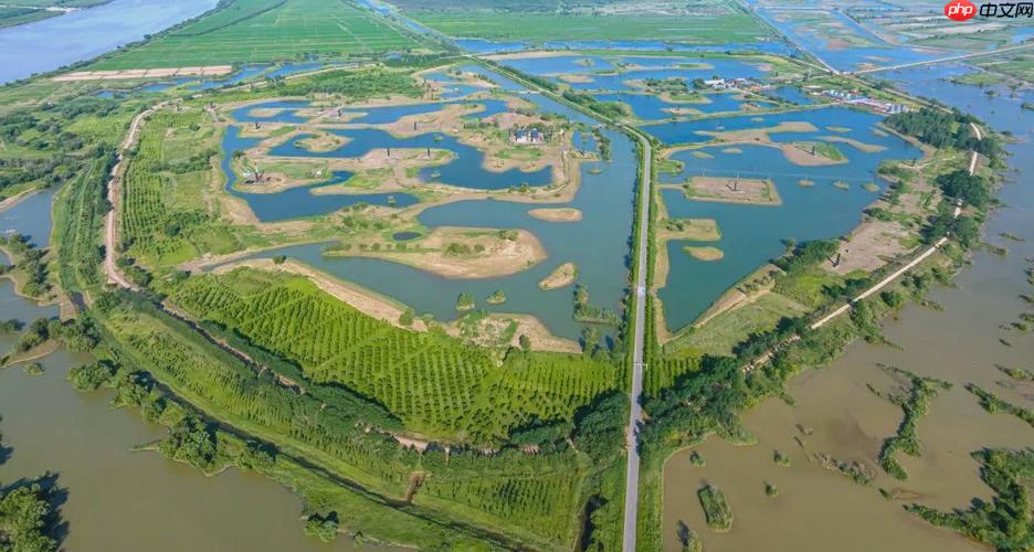 三角洲游戏官网入口及注册下载指南