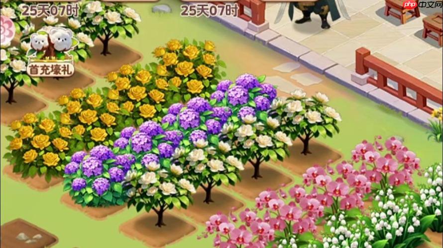 我的花园世界游戏跨服花园评选规则详解与参与指南