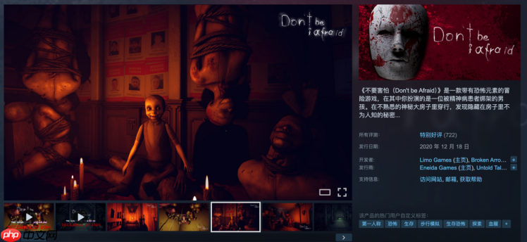 好评心理恐怖系列回归!《不要害怕:精神病院》Steam中文页面上线