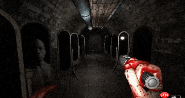 好评心理恐怖系列回归!《不要害怕:精神病院》Steam中文页面上线