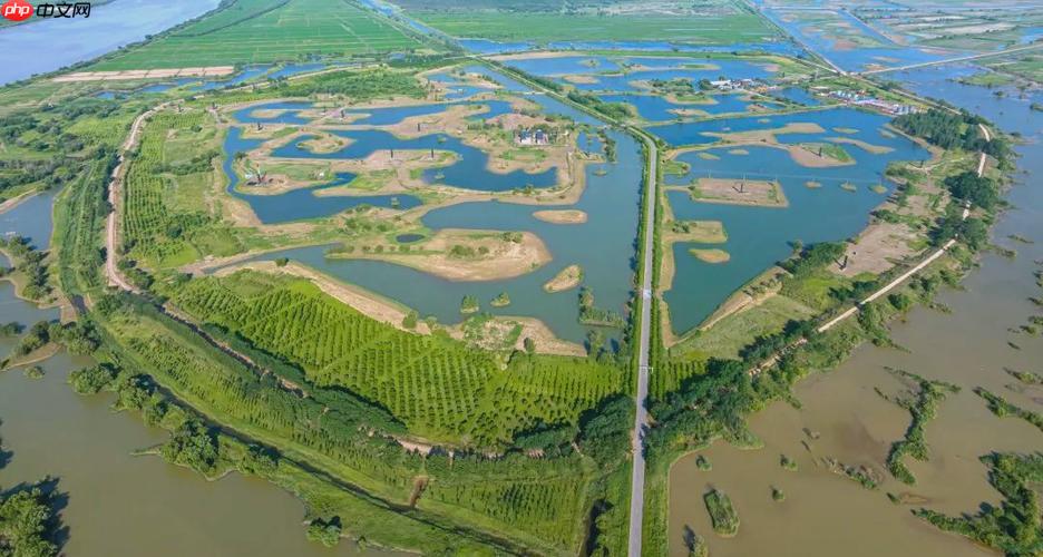 三角洲游戏中心入口，官方资讯与活动专区介绍