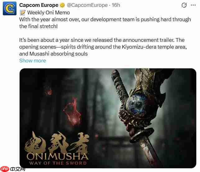 《鬼武者：剑之道》开发进入最后阶段 多个预告筹备中