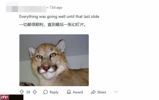 抽象建模看笑了!玩家对比《给他爱5》&《荒野大镖客:救赎2》动物建模