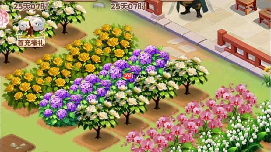 我的花园世界游戏参与限时园艺赛事指南，入口与操作指引