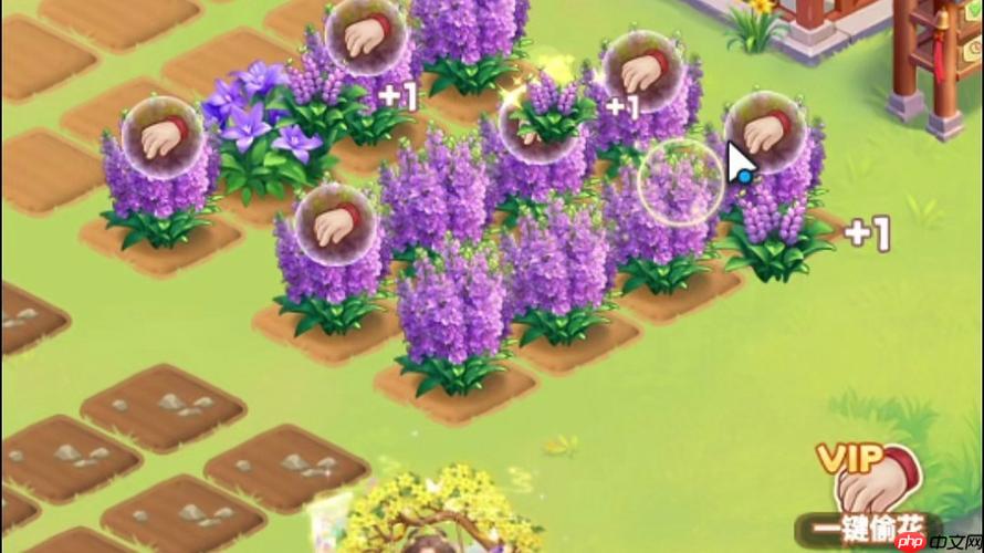 我的花园世界游戏，梦幻花境布置方案与思路