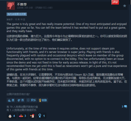 《Raiders of Blackveil》Steam首发褒贬不一 玩家：土豆服务器还敢强制联网？