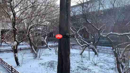 《黑神话:悟空》杨奇晒雪景图:风骚作诗一首!