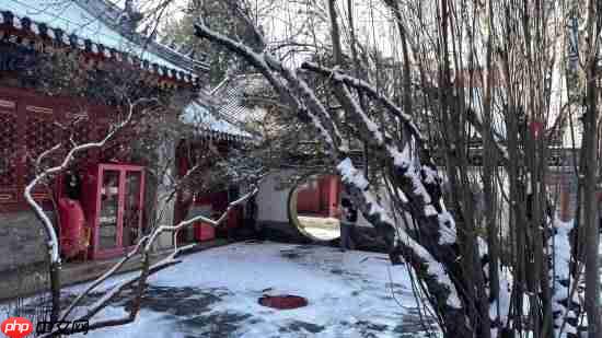 《黑神话:悟空》杨奇晒雪景图:风骚作诗一首!