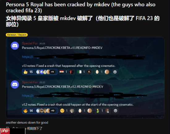 D加密如此遭人恨？P5R成功破解引外网热议