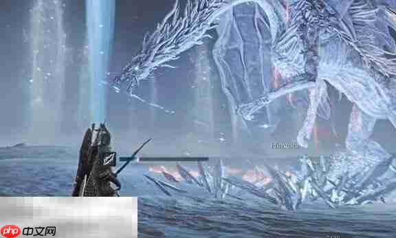 艾尔登法环黑夜君临雾中裂缝战斗指南 黑夜雾霾卡莉果弱点分析