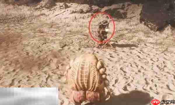 光与影33号远征队商人合集:商人可拉罗点位与售货单简介