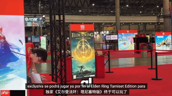 NS2《艾尔登法环》优化可喜！可算能正常玩了