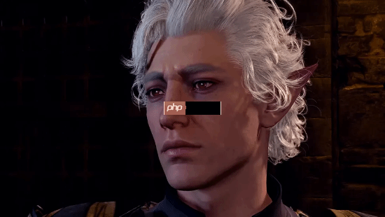 LGBT也是家人!《博德之门3》不惜花重金追加中性代词