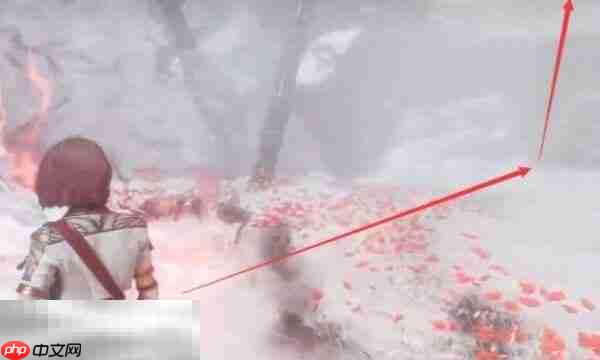 光与影33号远征队梅洛什：商人梅洛什简介