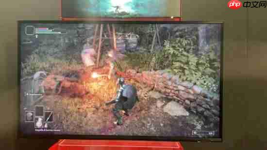 《艾尔登法环:褪色者版》NS2最新实机!性能持续改善 明年发售