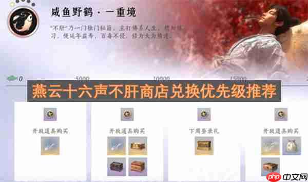 燕云十六声兑换优先级解析，不肝商店里的明智选择