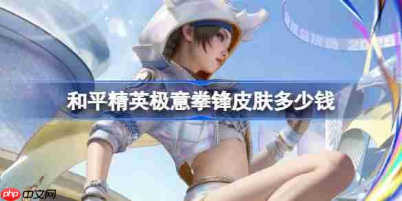 和平精英极意拳锋皮肤价格介绍