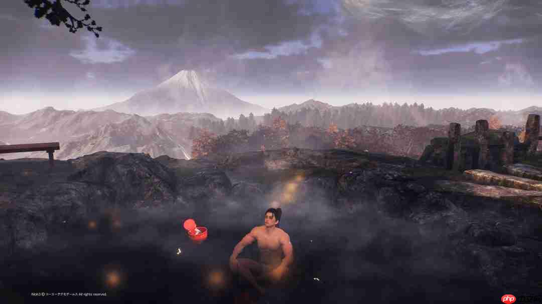 《仁王3》新角色“服部半藏”介绍 确认有温泉