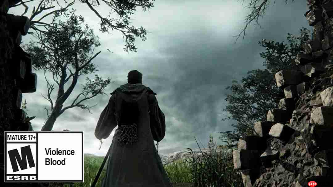 《艾尔登法环：黑夜君临》DLC新职业“学者”预告