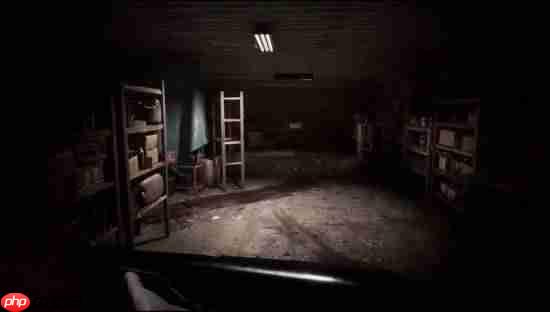 第一人称恐怖新游明日发售！受生化7启发 支持中文