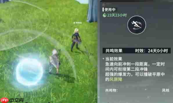 星痕共鸣风核该怎么使用-星痕共鸣风核介绍