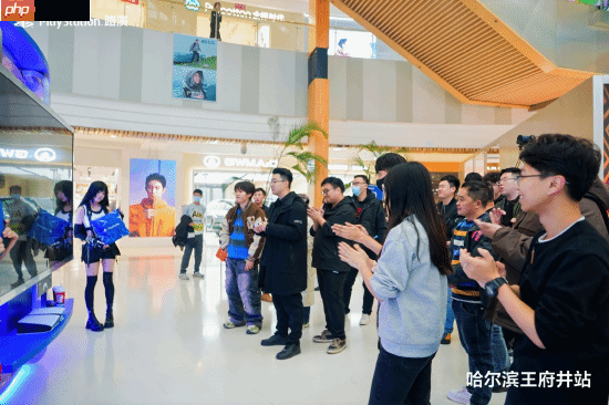 PS全国路演哈尔滨站来了:不怕冷的蒂法陪你打游戏!