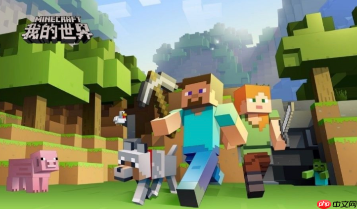 MCJS网页版独家资源授权入口揭秘