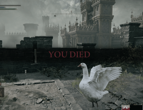 燕云十六声大鹅凶蛮引国际玩家共鸣，老外也难胜大鹅