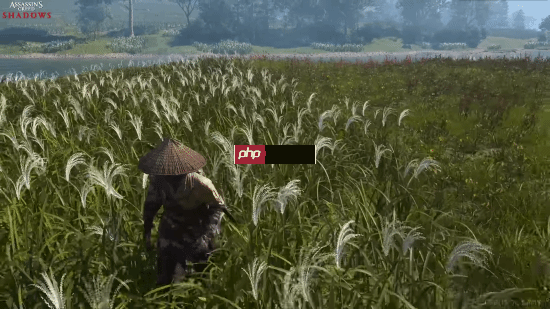 《燕云十六声》对比《羊蹄山之魂》《刺客信条影》：把外国玩家香晕了