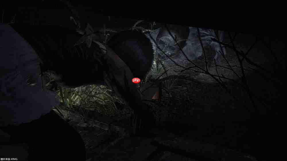 『零 ~红蝶~ REMAKE』2026年3月12日(四)发售决定 预购开放中