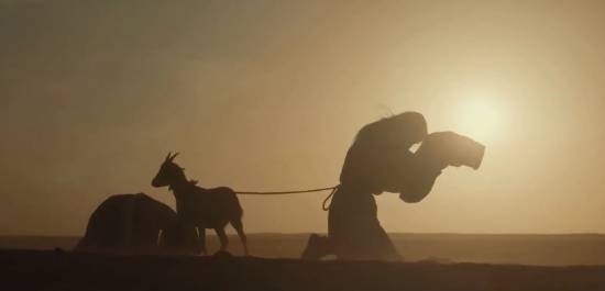 你看没!爆火大剧《太平年》现吃人、牵羊礼等场面 导演回应让网友沉默